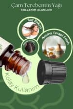 Çam Terebentin Uçucu Yağı - Görsel 3