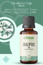 Okaliptus Uçucu Yağı - Görsel 4