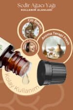 Sedir Ağacı Uçucu Yağı - Görsel 3